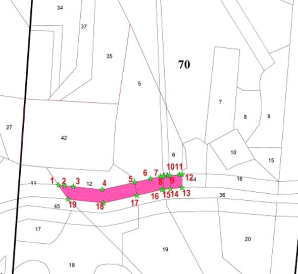 Постановление Правительства Нижегородской области от 31.03.2020 N 240 "Об изменении границ лесов, расположенных в лесопарковых зонах Борского районного лесничества департамента лесного хозяйства Нижегородской области"