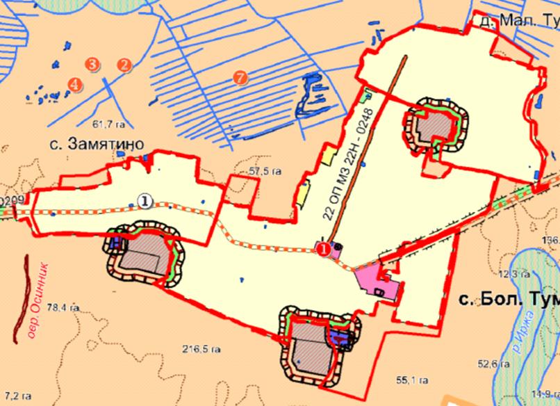 Постановление Правительства Нижегородской области от 31.03.2020 N 243 "Об утверждении изменений в генеральный план сельского поселения Большетумановский сельсовет Арзамасского муниципального района Нижегородской области, утвержденный постановлением Правительства Нижегородской области от 7 апреля 2017 г. N 203"