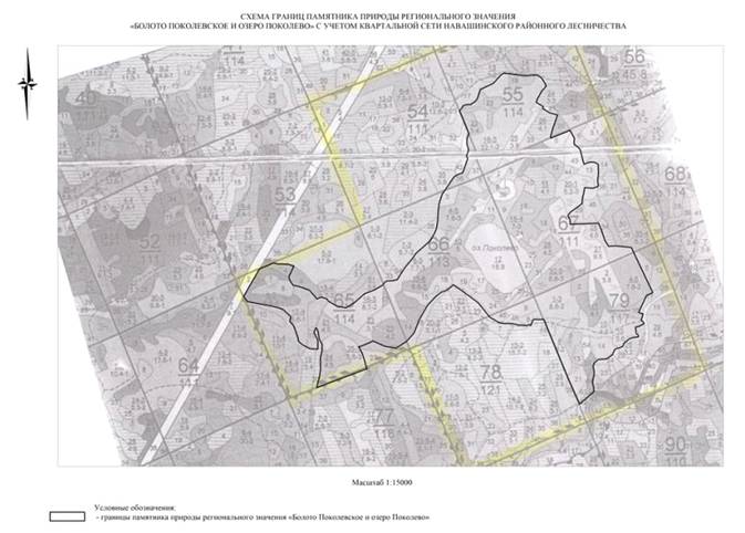 Постановление Правительства Нижегородской области от 06.07.2020 N 544 "О реорганизации памятников природы регионального значения "Болото Поколевское" и "Озеро Поколево" в городском округе Навашинский Нижегородской области"