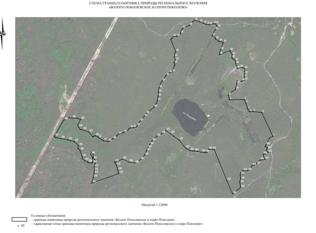 Постановление Правительства Нижегородской области от 06.07.2020 N 544 "О реорганизации памятников природы регионального значения "Болото Поколевское" и "Озеро Поколево" в городском округе Навашинский Нижегородской области"