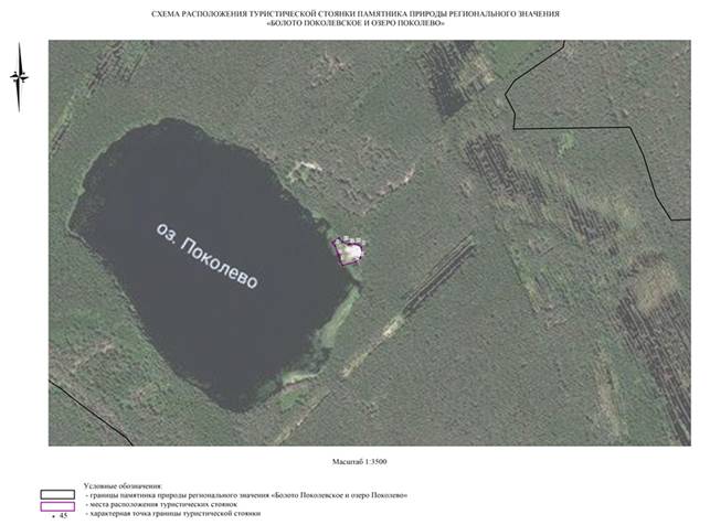 Постановление Правительства Нижегородской области от 06.07.2020 N 544 "О реорганизации памятников природы регионального значения "Болото Поколевское" и "Озеро Поколево" в городском округе Навашинский Нижегородской области"