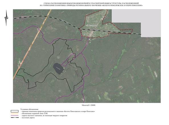 Постановление Правительства Нижегородской области от 06.07.2020 N 544 "О реорганизации памятников природы регионального значения "Болото Поколевское" и "Озеро Поколево" в городском округе Навашинский Нижегородской области"