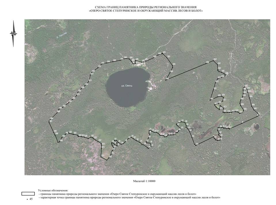 Постановление Правительства Нижегородской области от 16.07.2020 N 593 "О реорганизации памятника природы регионального значения "Озеро Святое Степуринское" в городском округе Навашинский Нижегородской области"