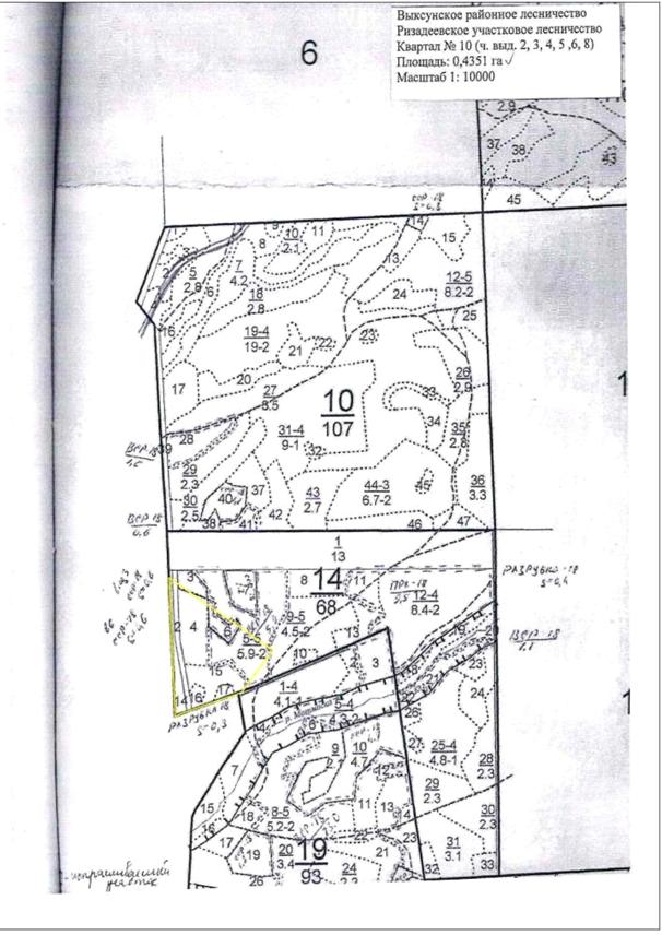 Постановление Правительства Нижегородской области от 24.07.2020 N 620 "Об изменении границ лесов, расположенных в зеленых зонах Выксунского районного лесничества и Вознесенского межрайонного лесничества департамента лесного хозяйства Нижегородской области"