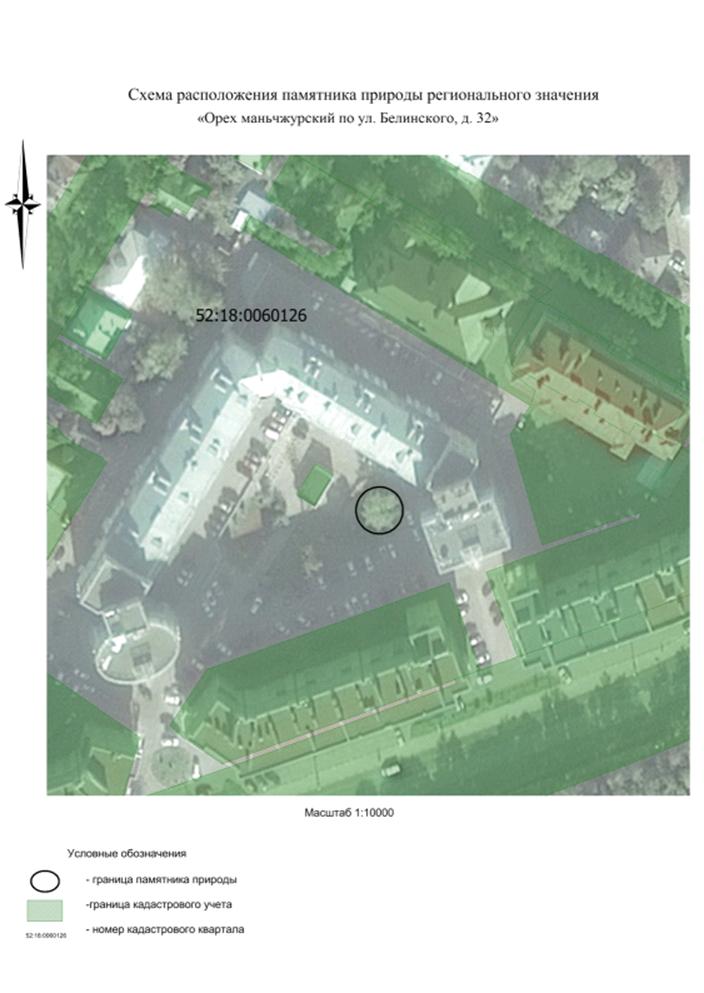 Постановление Правительства Нижегородской области от 24.07.2020 N 623 "О реорганизации памятника природы регионального значения "Орех маньчжурский (два дерева) по ул. Новой, д. 10 а"