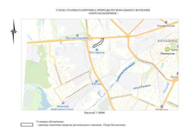 Постановление Правительства Нижегородской области от 19.08.2020 N 707 "О памятнике природы регионального значения "Озеро Больничное"