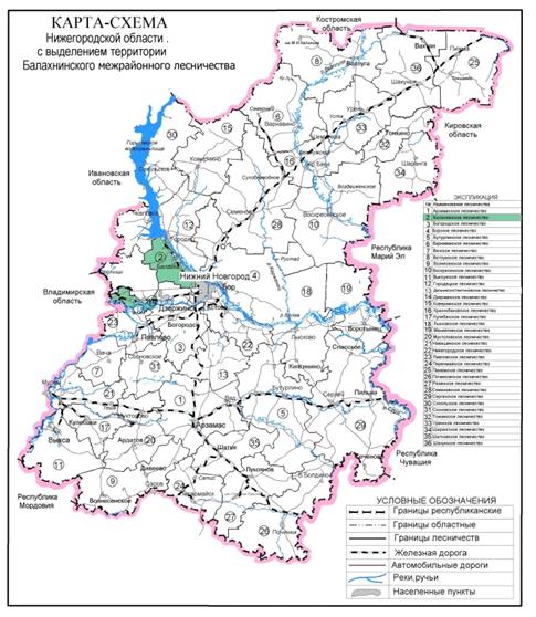 Постановление Правительства Нижегородской области от 06.10.2020 N 817 "Об изменении границ лесов, расположенных в лесопарковых зонах Балахнинского межрайонного и Борского районного лесничеств департамента лесного хозяйства Нижегородской области"