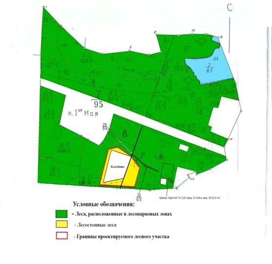 Постановление Правительства Нижегородской области от 06.10.2020 N 817 "Об изменении границ лесов, расположенных в лесопарковых зонах Балахнинского межрайонного и Борского районного лесничеств департамента лесного хозяйства Нижегородской области"