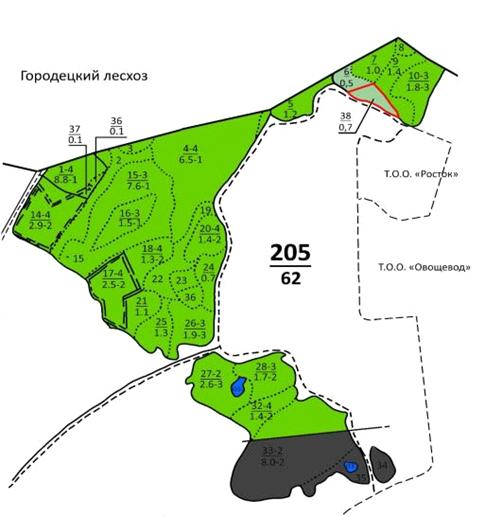 Постановление Правительства Нижегородской области от 06.10.2020 N 821 "Об изменении границ лесов, расположенных в лесопарковых зонах, зеленых зонах Городецкого межрайонного лесничества департамента лесного хозяйства Нижегородской области"