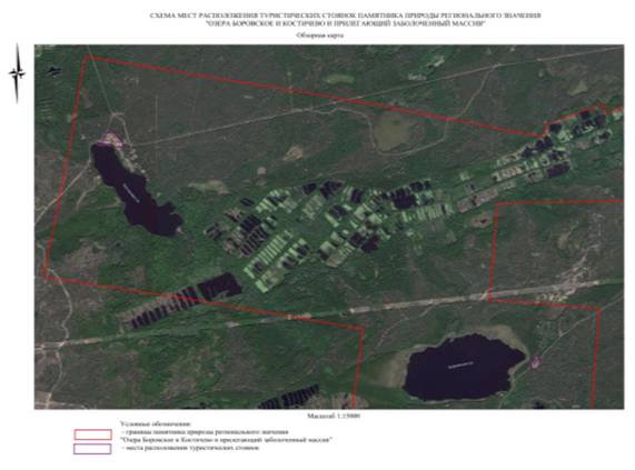 Постановление Правительства Нижегородской области от 08.10.2020 N 824 "О реорганизации памятника природы регионального значения "Озеро Боровское" в Балахнинском районе"