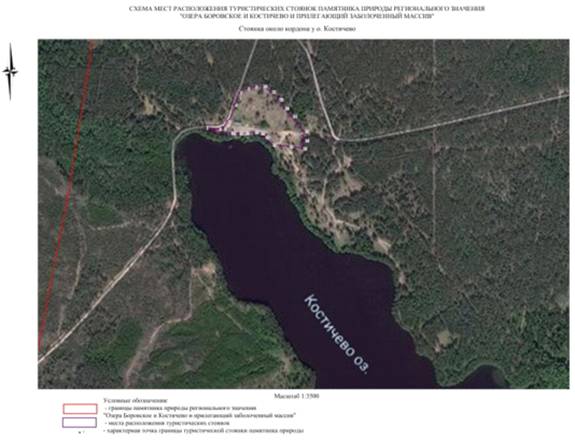 Постановление Правительства Нижегородской области от 08.10.2020 N 824 "О реорганизации памятника природы регионального значения "Озеро Боровское" в Балахнинском районе"