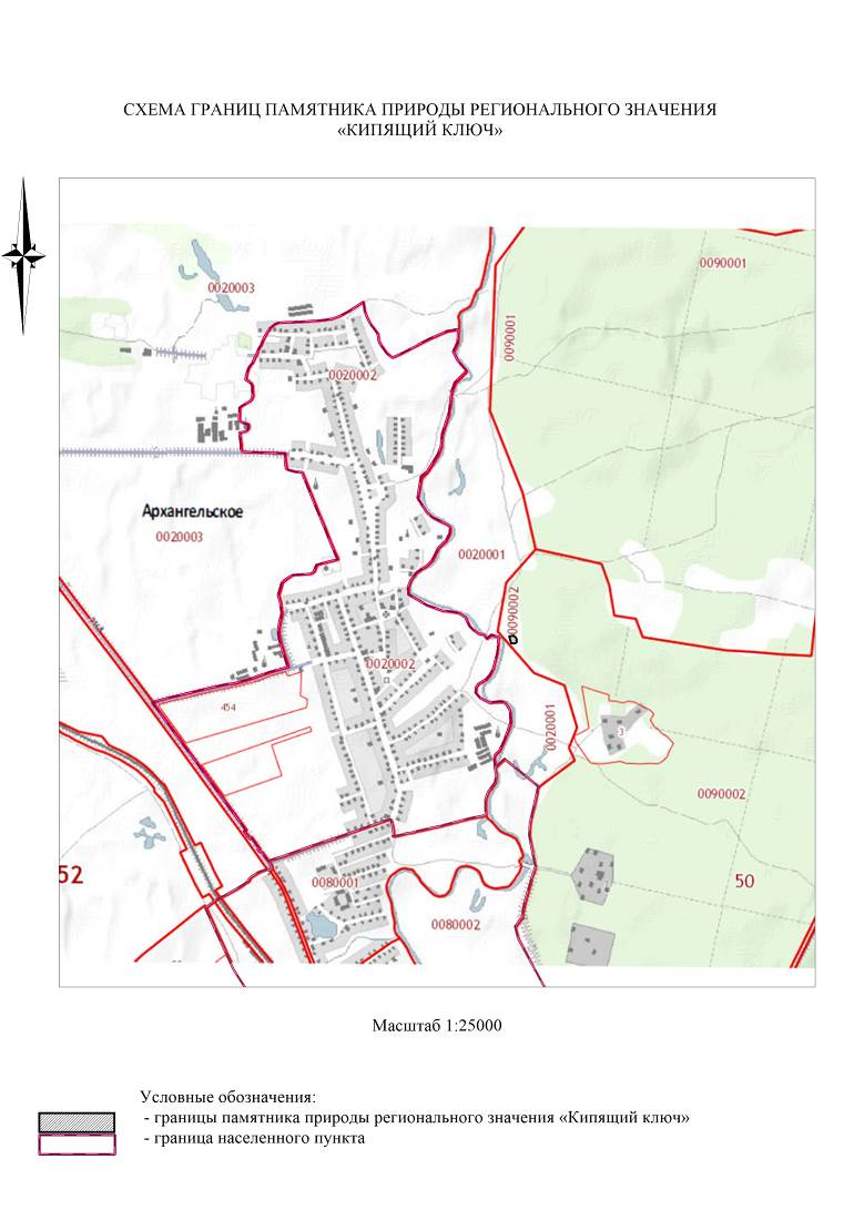 Постановление Правительства Нижегородской области от 08.04.2021 N 280 "О памятнике природы регионального значения "Кипящий ключ" в Шатковском районе Нижегородской области"