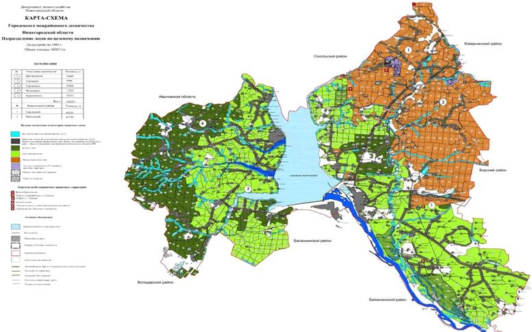 Постановление Правительства Нижегородской области от 18.05.2021 N 386 "Об изменении границ земель, на которых расположены леса в лесопарковых и зеленых зонах Городецкого межрайонного лесничества департамента лесного хозяйства Нижегородской области"