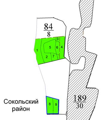 Постановление Правительства Нижегородской области от 04.06.2021 N 469 "Об изменении границ земель, на которых расположены леса в лесопарковых и зеленых зонах Городецкого межрайонного лесничества и Арзамасского межрайонного лесничества министерства лесного хозяйства и охраны объектов животного мира Нижегородской области"