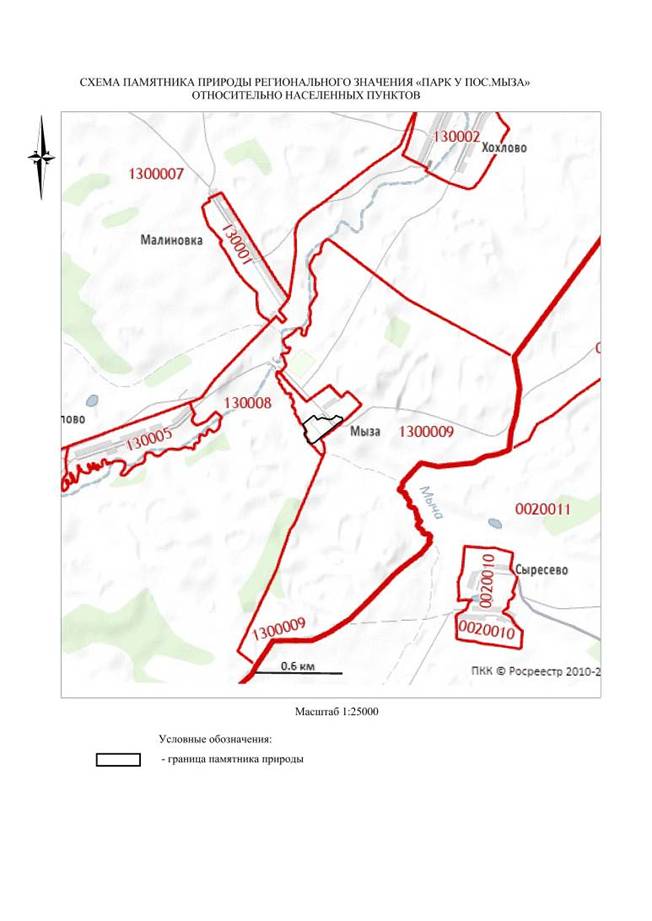 Постановление Правительства Нижегородской области от 21.06.2021 N 521 "О памятнике природы регионального значения "Парк у п.Мыза" в Ардатовском муниципальном районе Нижегородской области"