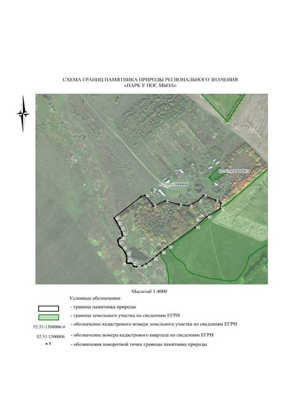 Постановление Правительства Нижегородской области от 21.06.2021 N 521 "О памятнике природы регионального значения "Парк у п.Мыза" в Ардатовском муниципальном районе Нижегородской области"