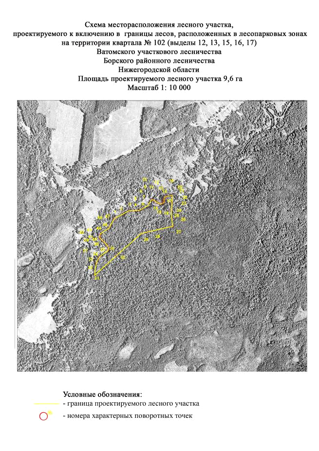 Постановление Правительства Нижегородской области от 24.06.2021 N 530 "Об изменении границ земель, на которых расположены леса в лесопарковых и зеленых зонах Борского районного лесничества министерства лесного хозяйства и охраны объектов животного мира Нижегородской области"