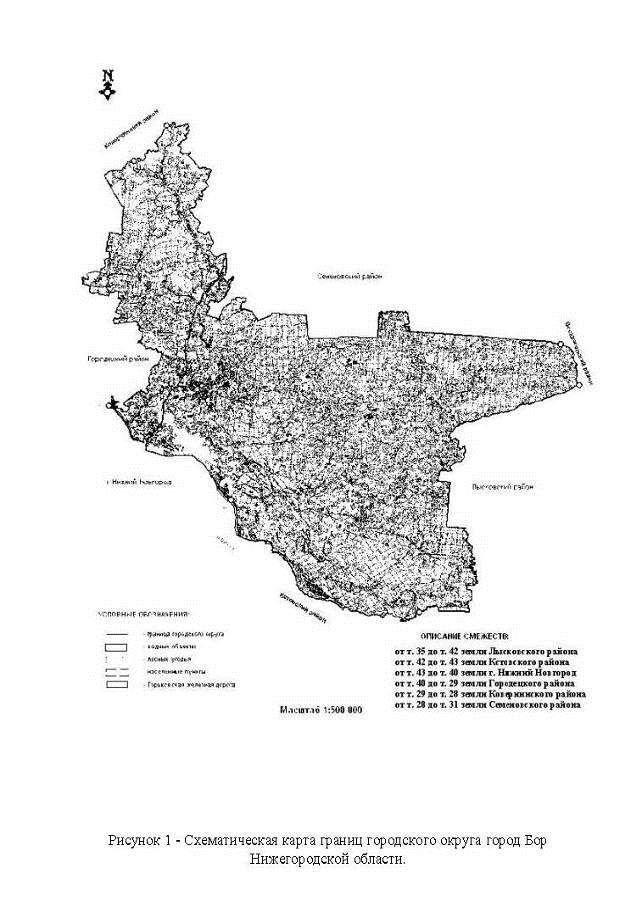 Постановление Правительства Нижегородской области от 24.06.2021 N 530 "Об изменении границ земель, на которых расположены леса в лесопарковых и зеленых зонах Борского районного лесничества министерства лесного хозяйства и охраны объектов животного мира Нижегородской области"