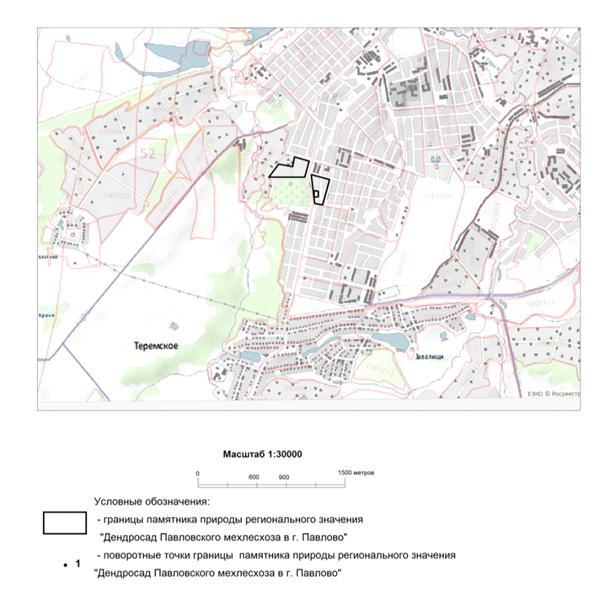 Постановление Правительства Нижегородской области от 06.07.2021 N 591 "О памятнике природы регионального значения "Дендросад Павловского мехлесхоза" в г. Павлово"