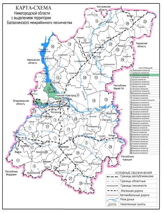 Постановление Правительства Нижегородской области от 03.09.2021 N 785 "Об изменении границ земель, на которых расположены леса в лесопарковых зонах Балахнинского межрайонного лесничества и Шатковского районного лесничества министерства лесного хозяйства и охраны объектов животного мира Нижегородской области"