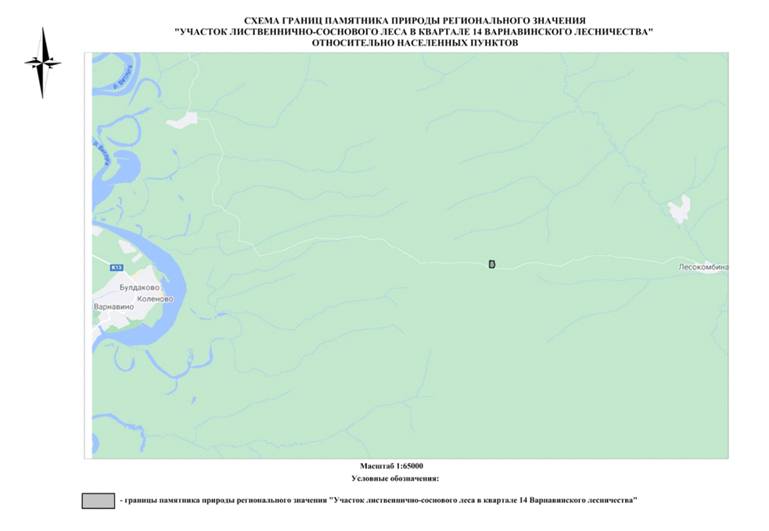 Постановление Правительства Нижегородской области от 04.07.2022 N 499 "Об утверждении паспорта на памятник природы регионального значения "Участок лиственнично-соснового леса в квартале 14 Варнавинского лесничества" в Варнавинском муниципальном округе Нижегородской области"
