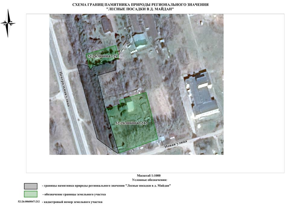 Постановление Правительства Нижегородской области от 17.08.2022 N 640 "О реорганизации памятника природы регионального значения "Лесные посадки у д. Чернуха" в Кстовском районе"