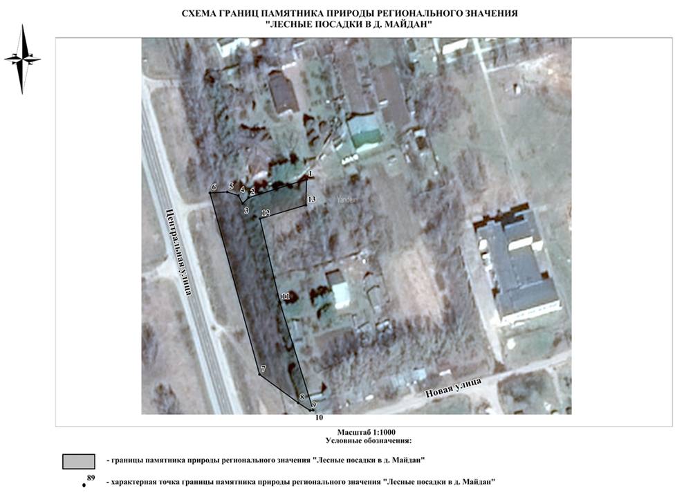 Постановление Правительства Нижегородской области от 17.08.2022 N 640 "О реорганизации памятника природы регионального значения "Лесные посадки у д. Чернуха" в Кстовском районе"