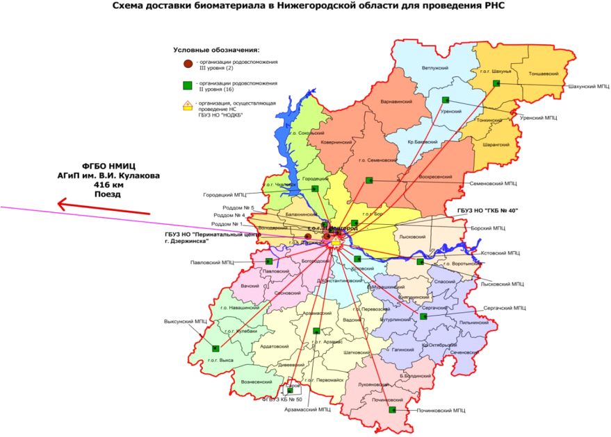 Постановление Правительства Нижегородской области от 21.12.2022 N 1102 "Об утверждении программы "Обеспечение расширенного неонатального скрининга новорожденных в Нижегородской области"