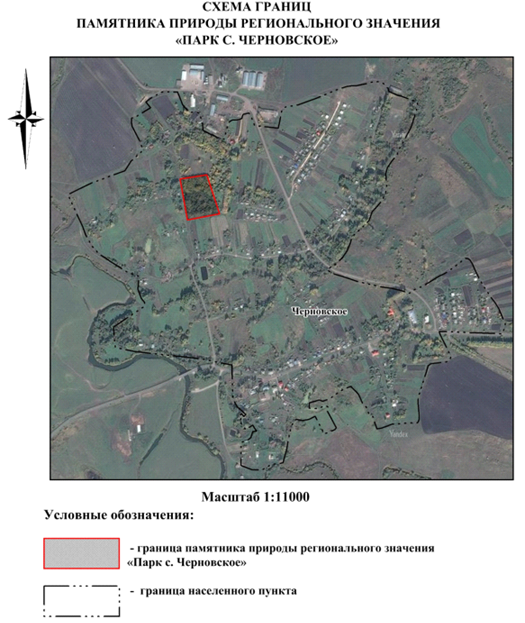Постановление Правительства Нижегородской области от 23.06.2023 N 562 "Об утверждении паспорта на памятник природы регионального значения "Парк с.Черновское" в Большеболдинском муниципальном округе Нижегородской области"