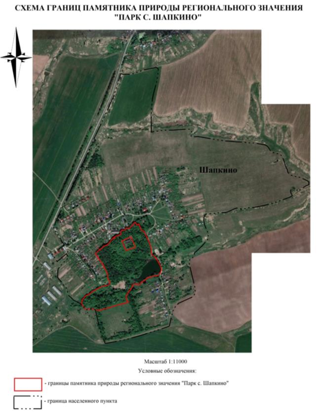 Постановление Правительства Нижегородской области от 30.01.2024 N 33 "О реорганизации государственного памятника природы местного значения "Парк с. Шапкино" в Богородском районе"