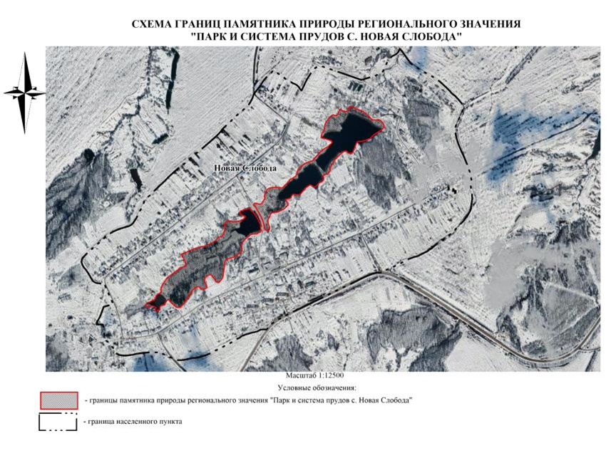 Постановление Правительства Нижегородской области от 03.02.2024 N 40 "О реорганизации государственного памятника природы местного значения "Парк и система прудов с. Новая Слобода"