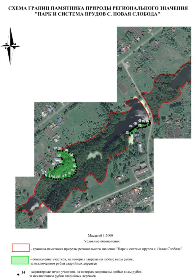 Постановление Правительства Нижегородской области от 03.02.2024 N 40 "О реорганизации государственного памятника природы местного значения "Парк и система прудов с. Новая Слобода"