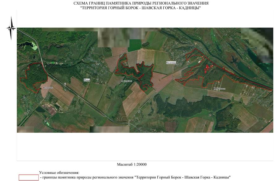 Постановление Правительства Нижегородской области от 23.05.2024 N 272 "О реорганизации памятника природы регионального (областного) значения "Территория Горный Борок - Шавская Горка - Кадницы" в Кстовском муниципальном округе Нижегородской области"