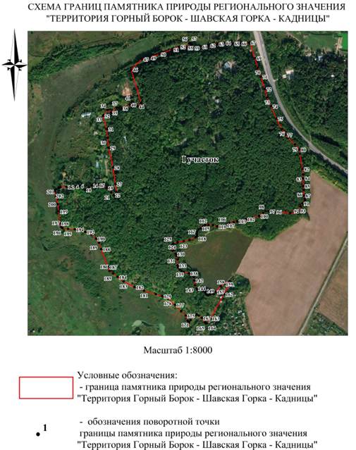 Постановление Правительства Нижегородской области от 23.05.2024 N 272 "О реорганизации памятника природы регионального (областного) значения "Территория Горный Борок - Шавская Горка - Кадницы" в Кстовском муниципальном округе Нижегородской области"