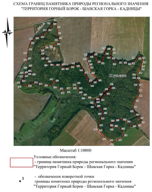 Постановление Правительства Нижегородской области от 23.05.2024 N 272 "О реорганизации памятника природы регионального (областного) значения "Территория Горный Борок - Шавская Горка - Кадницы" в Кстовском муниципальном округе Нижегородской области"