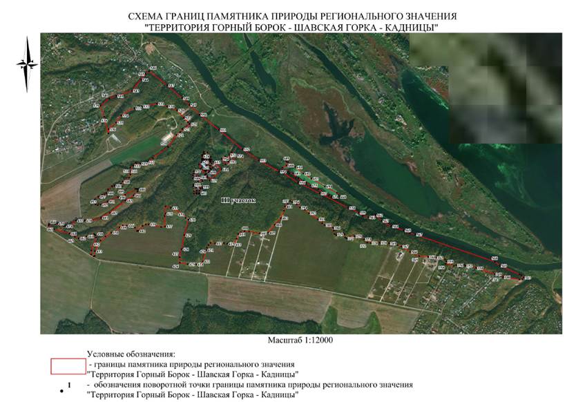 Постановление Правительства Нижегородской области от 23.05.2024 N 272 "О реорганизации памятника природы регионального (областного) значения "Территория Горный Борок - Шавская Горка - Кадницы" в Кстовском муниципальном округе Нижегородской области"