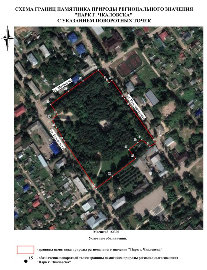 Постановление Правительства Нижегородской области от 30.05.2024 N 310 "О реорганизации государственного памятника природы местного значения "Парк г. Чкаловска" в городе Чкаловск"