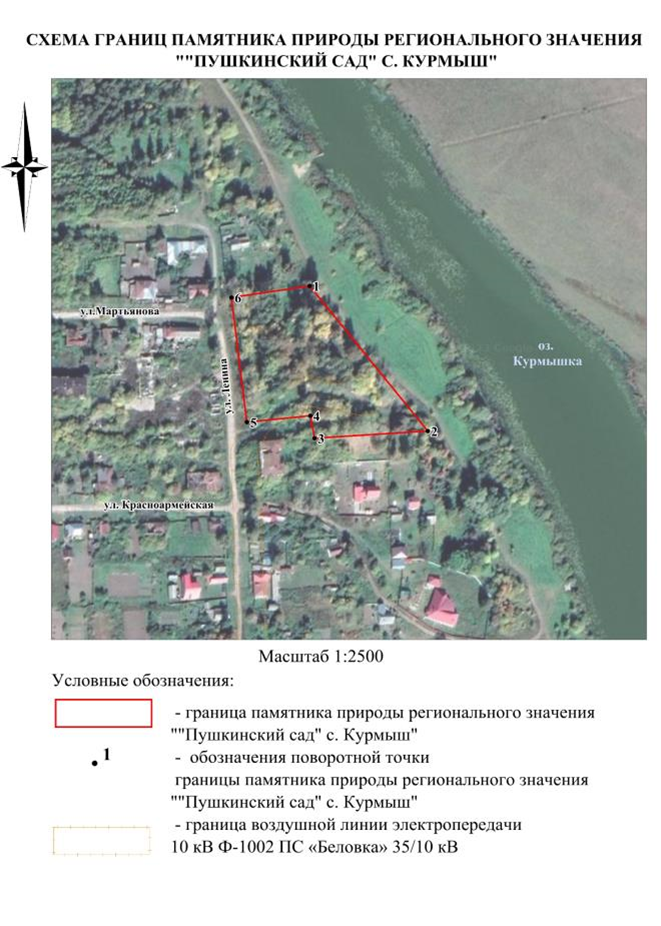 Постановление Правительства Нижегородской области от 20.09.2024 N 569 "О реорганизации государственного памятника природы местного значения "Пушкинский сад" с. Курмыш", расположенного в Пильнинском муниципальном округе Нижегородской области"