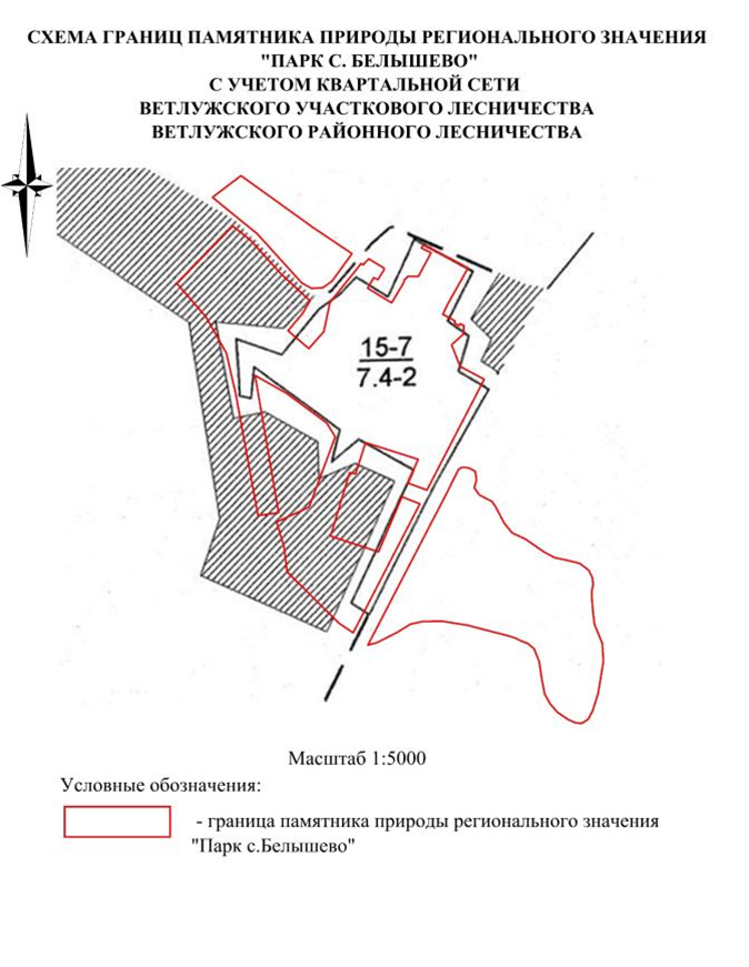 Постановление Правительства Нижегородской области от 23.09.2024 N 572 "О реорганизации государственного памятника природы местного значения "Парк с. Белышево", расположенного в Ветлужском муниципальном округе Нижегородской области"