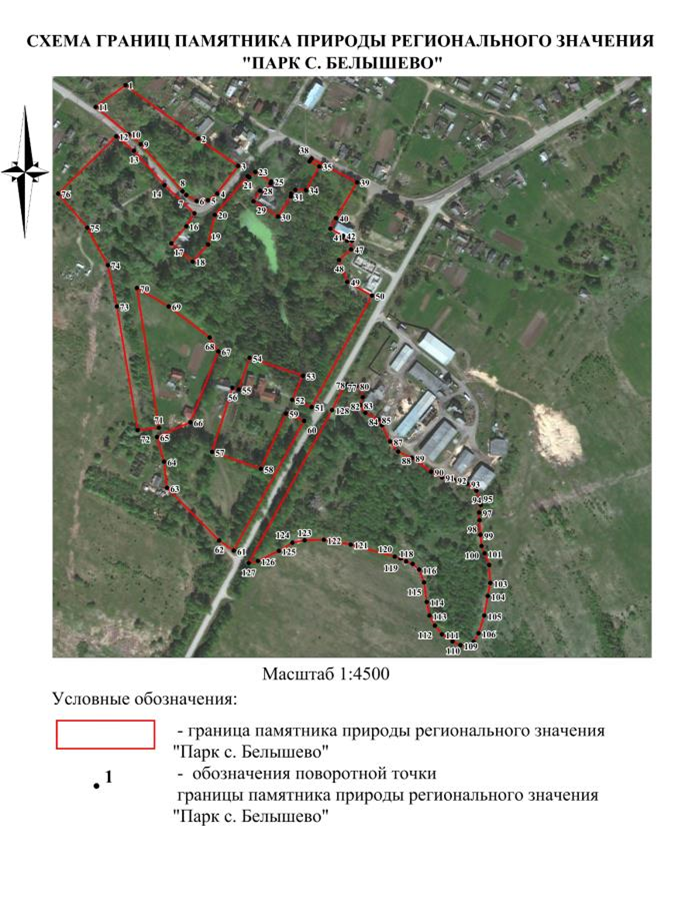 Постановление Правительства Нижегородской области от 23.09.2024 N 572 "О реорганизации государственного памятника природы местного значения "Парк с. Белышево", расположенного в Ветлужском муниципальном округе Нижегородской области"