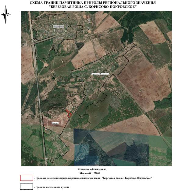 Постановление Правительства Нижегородской области от 23.09.2024 N 573 "О реорганизации государственного памятника природы местного значения "Березовая роща с. Борисово - Покровское", расположенного в Дальнеконстантиновском муниципальном округе Нижегородской области"