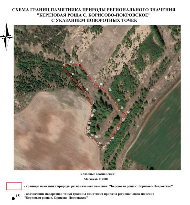 Постановление Правительства Нижегородской области от 23.09.2024 N 573 "О реорганизации государственного памятника природы местного значения "Березовая роща с. Борисово - Покровское", расположенного в Дальнеконстантиновском муниципальном округе Нижегородской области"