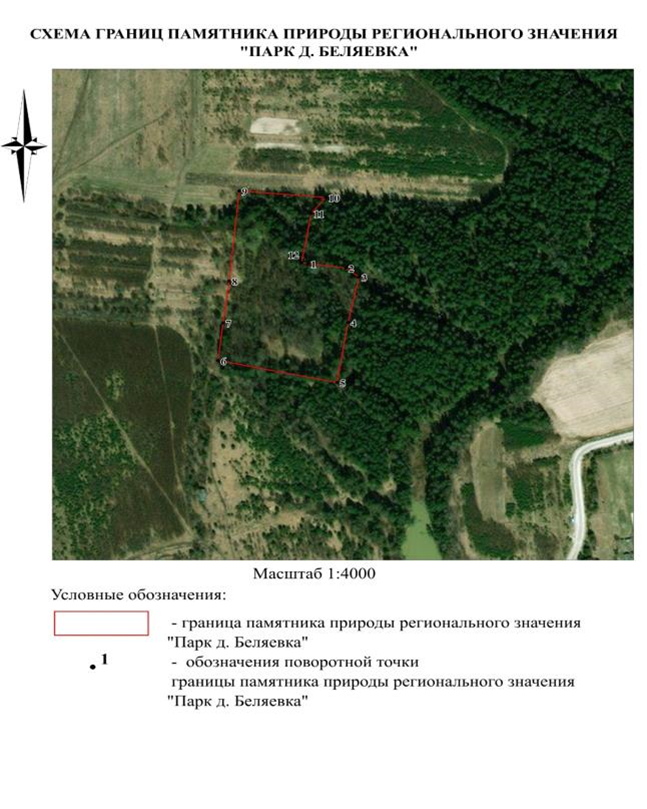 Постановление Правительства Нижегородской области от 15.10.2024 N 623 "О реорганизации государственного памятника природы местного значения "Парк д. Беляевка", расположенного в Ветлужском муниципальном округе Нижегородской области"