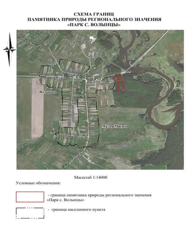 Постановление Правительства Нижегородской области от 17.10.2024 N 631 "О реорганизации государственного памятника природы местного значения "Парк д. Волынцы", расположенного в Ветлужском муниципальном округе Нижегородской области"