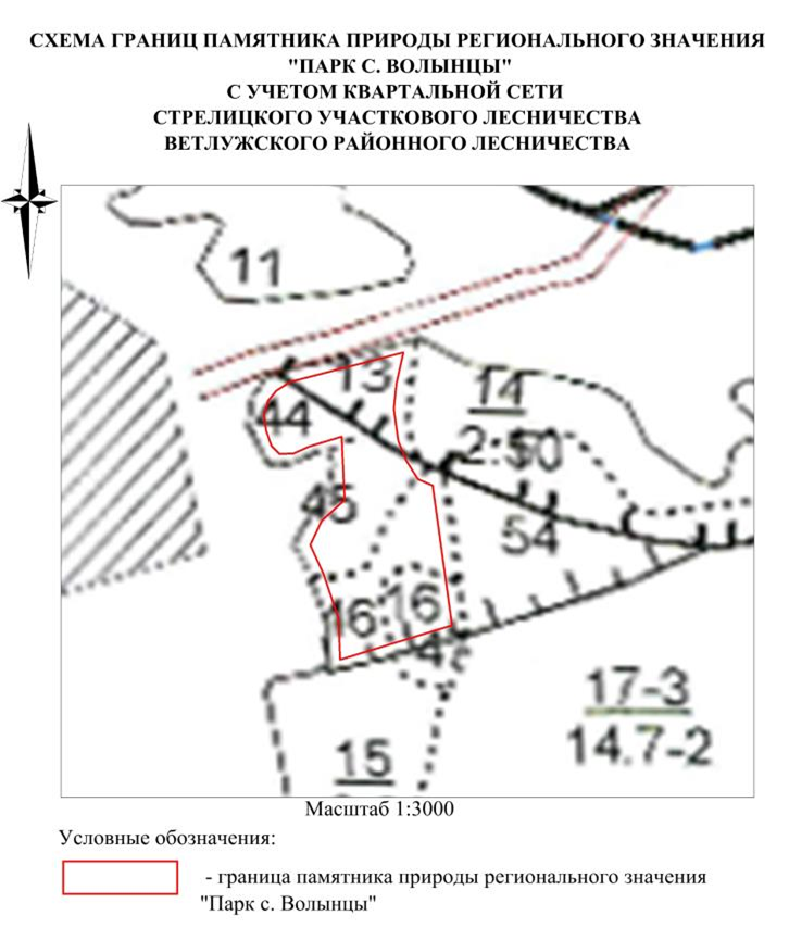 Постановление Правительства Нижегородской области от 17.10.2024 N 631 "О реорганизации государственного памятника природы местного значения "Парк д. Волынцы", расположенного в Ветлужском муниципальном округе Нижегородской области"