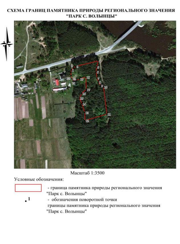 Постановление Правительства Нижегородской области от 17.10.2024 N 631 "О реорганизации государственного памятника природы местного значения "Парк д. Волынцы", расположенного в Ветлужском муниципальном округе Нижегородской области"