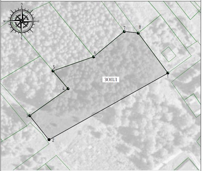 Постановление Правительства Нижегородской области от 18.12.2024 N 802 "Об установлении зон охраны объекта культурного наследия регионального значения "Скорбященская церковь" (Нижегородская область, Кстовский район, село Новые Ключищи), утверждении режимов использования земель и требований к градостроительным регламентам в границах территорий данных зон"