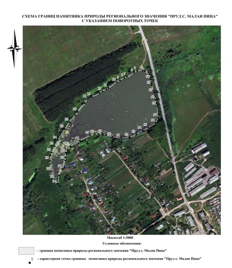 Постановление Правительства Нижегородской области от 25.04.2025 N 293 "О реорганизации государственного памятника природы местного значения "Пруд с. Малая Пица", расположенного в Дальнеконстантиновском муниципальном округе Нижегородской области"