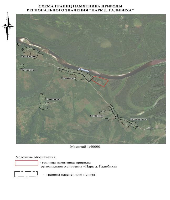 Постановление Правительства Нижегородской области от 27.05.2026 N 224 "Об особо охраняемой природной территории регионального значения "Памятник природы "Парк д. Галибиха", расположенной в Воскресенском муниципальном округе Нижегородской области". Рис. 1