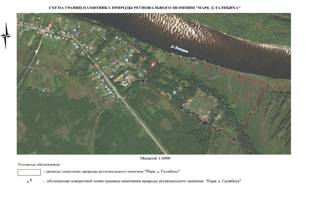 Постановление Правительства Нижегородской области от 27.05.2026 N 224 "Об особо охраняемой природной территории регионального значения "Памятник природы "Парк д. Галибиха", расположенной в Воскресенском муниципальном округе Нижегородской области". Рис. 3